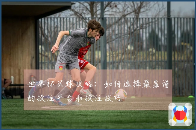 世界杯买球攻略：如何选择最靠谱的投注平台和投注技巧